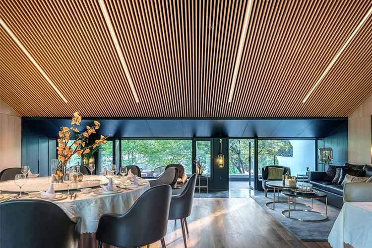 لاینر نور خطی سقف