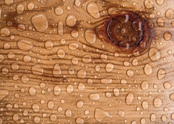 راه هایی برای ضد آب کردن چوب